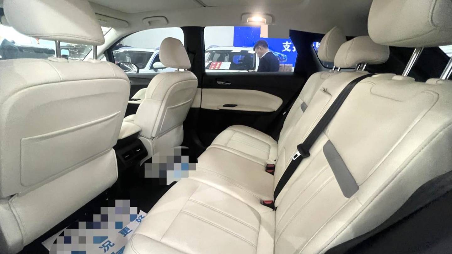 Venucia‌ 2024 VX6 520 Max