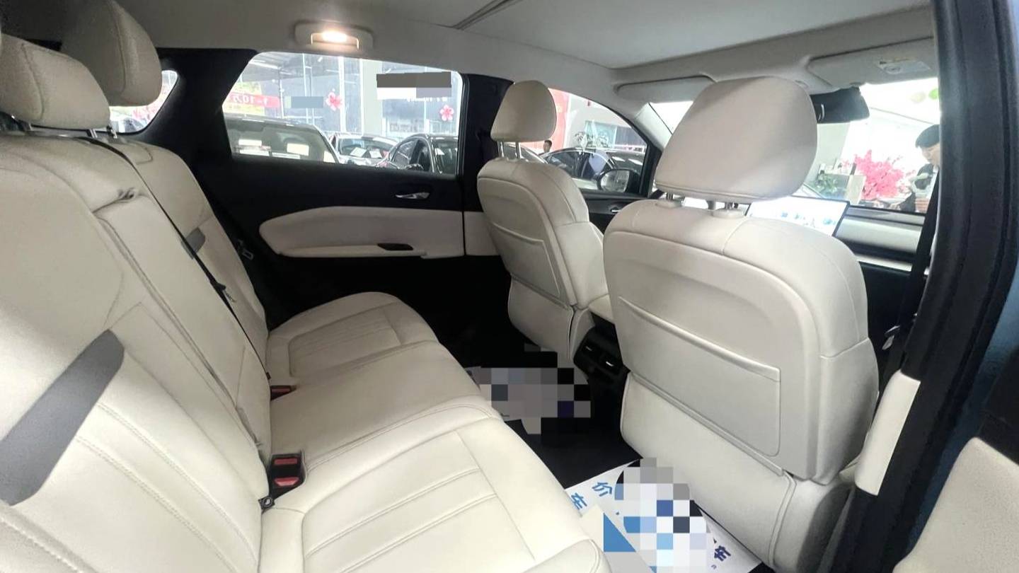 Venucia‌ 2024 VX6 520 Max