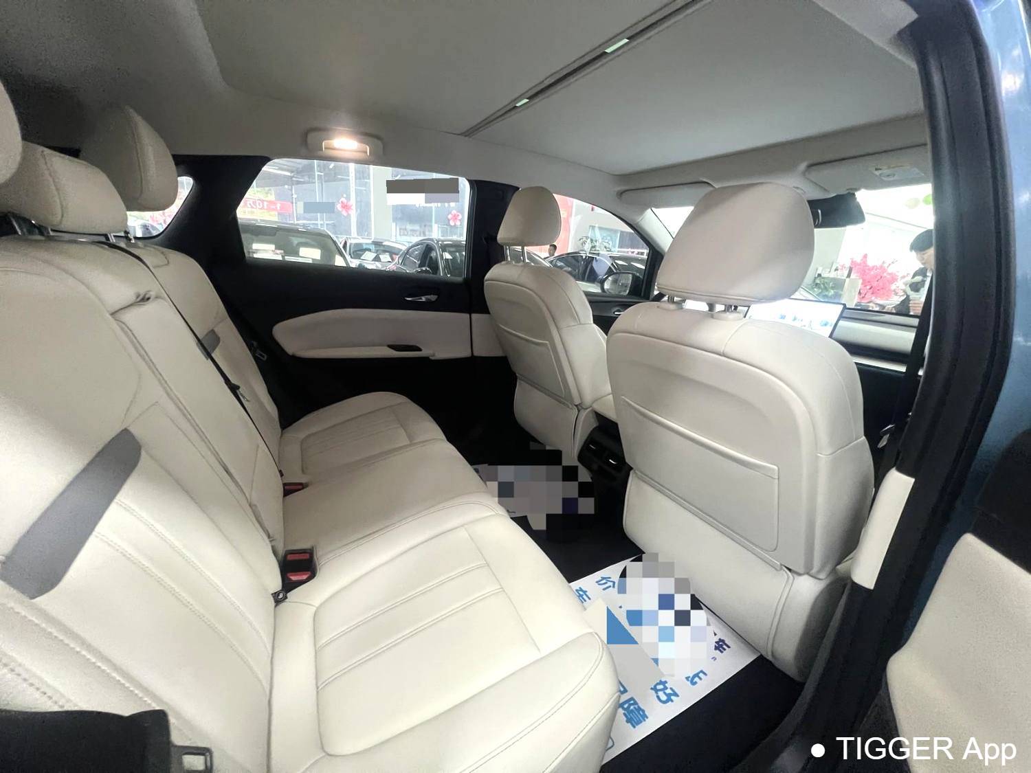 used Venucia‌ 2024 VX6 520 Max