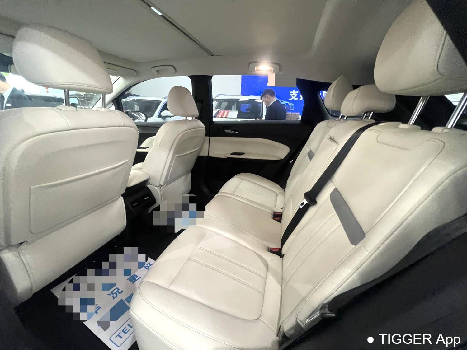 used Venucia‌ 2024 VX6 520 Max