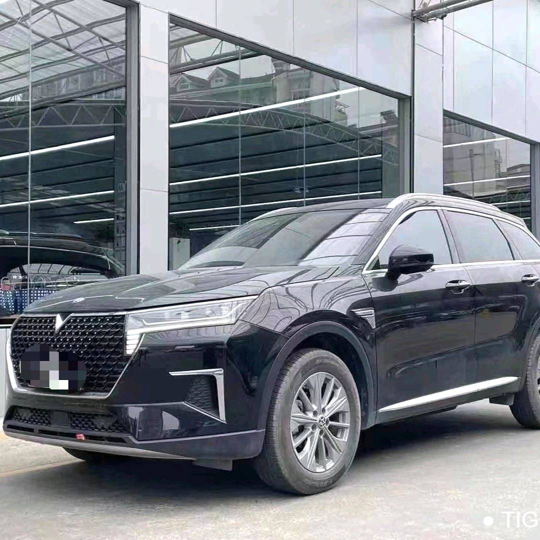 Venucia‌ 2023 Venucia Star 260T Xingshang Edition Pro سيارة مستعملة