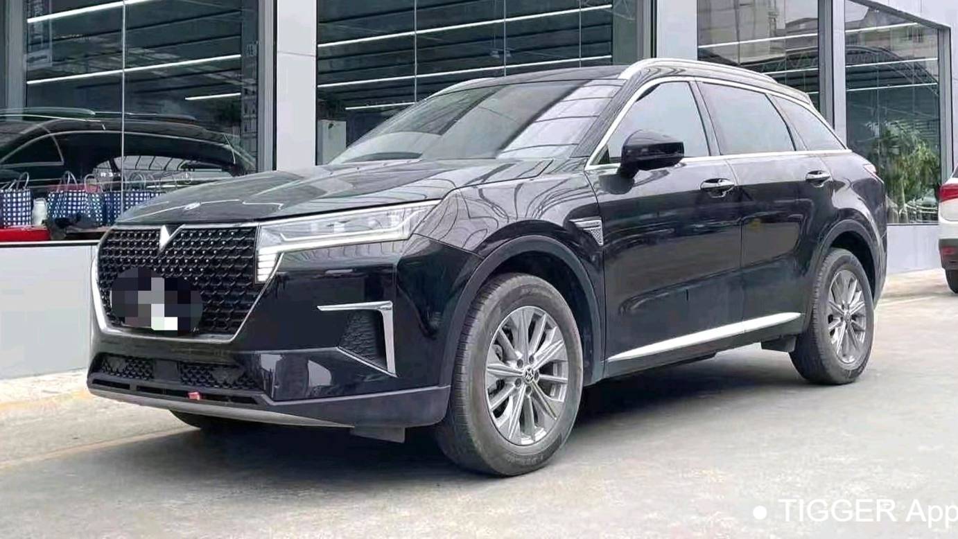 Venucia‌ 2023 Venucia Star 260T Xingshang Edition Pro