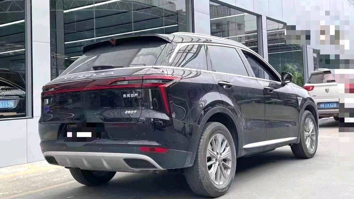 Venucia‌ 2023 Venucia Star 260T Xingshang Edition Pro