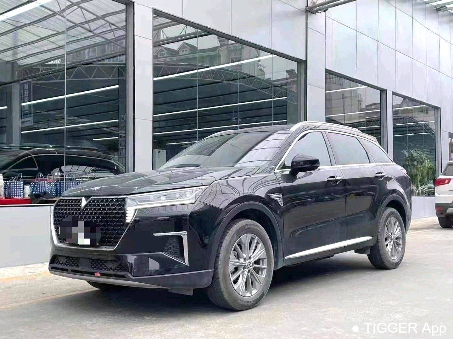 used Venucia‌ 2023 Venucia Star 260T Xingshang Edition Pro