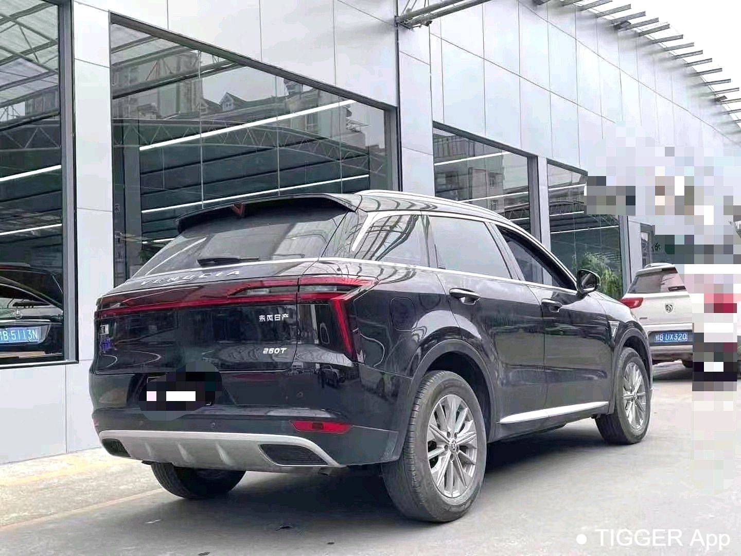 used Venucia‌ 2023 Venucia Star 260T Xingshang Edition Pro