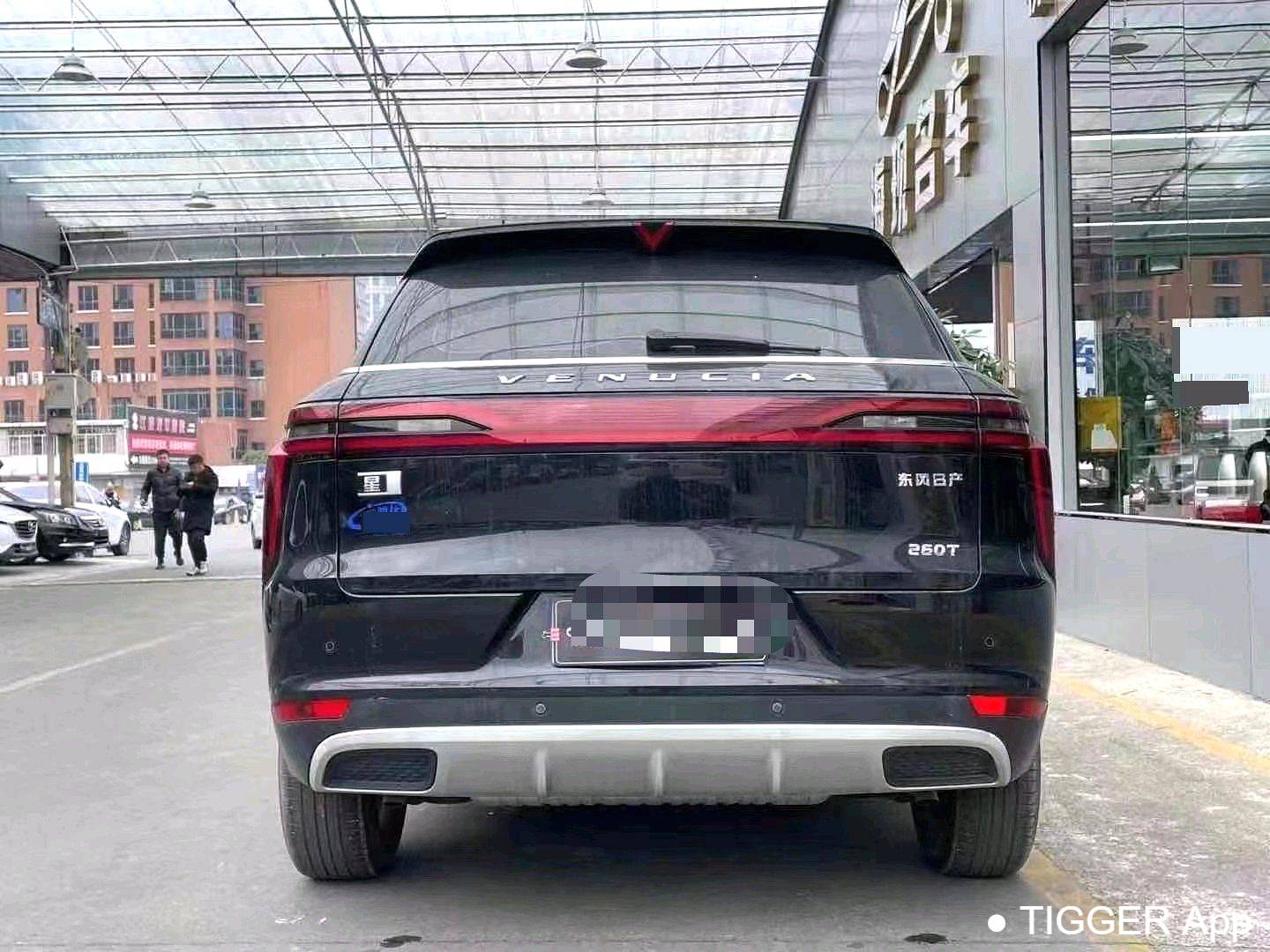 used Venucia‌ 2023 Venucia Star 260T Xingshang Edition Pro