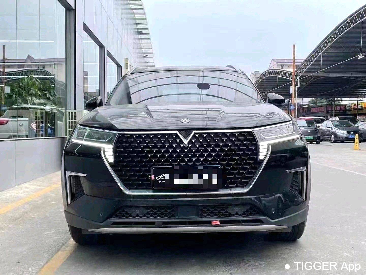 used Venucia‌ 2023 Venucia Star 260T Xingshang Edition Pro