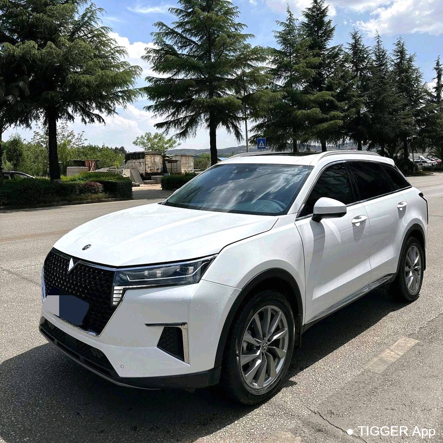 Venucia‌ 2023 Venucia Star 260T Starry Edition Pro سيارة مستعملة