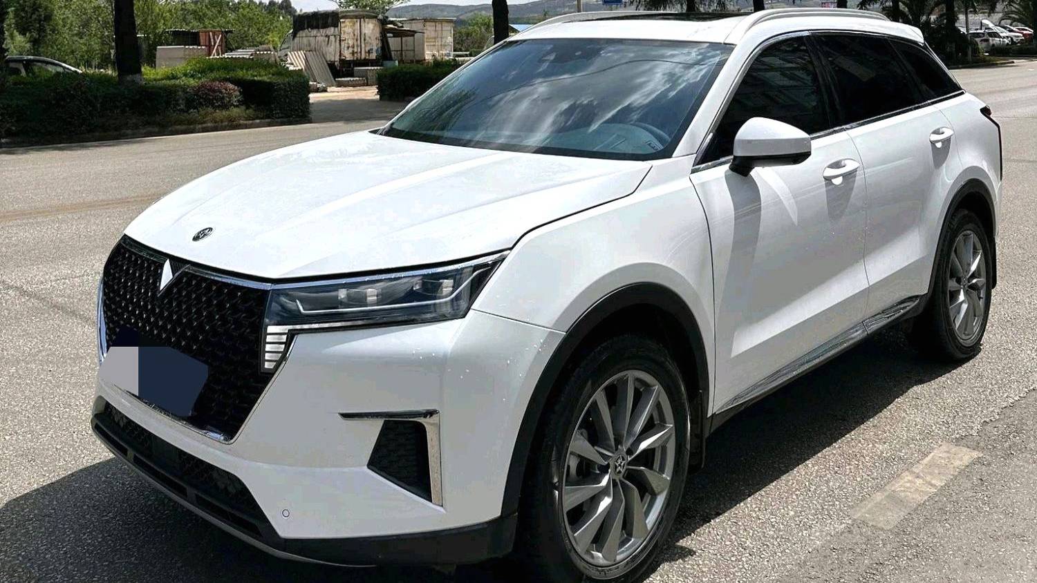 Venucia‌ 2023 Venucia Star 260T Starry Edition Pro