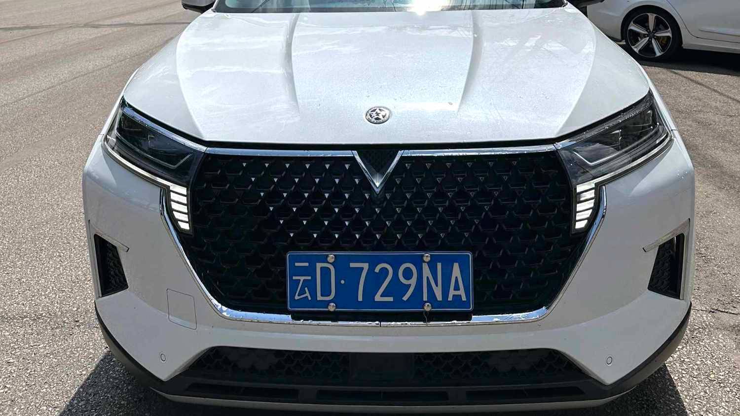 Venucia‌ 2023 Venucia Star 260T Starry Edition Pro