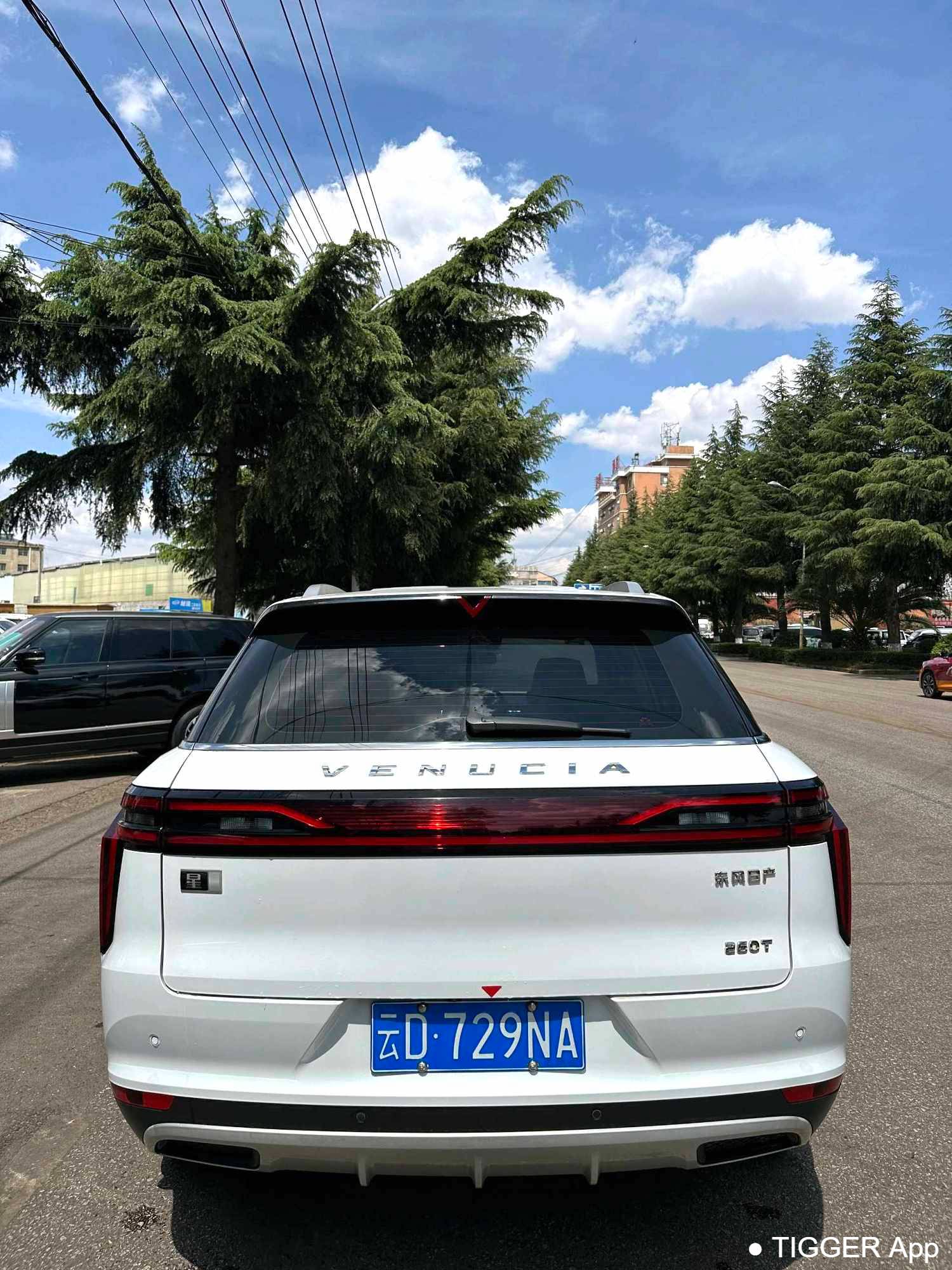 used Venucia‌ 2023 Venucia Star 260T Starry Edition Pro