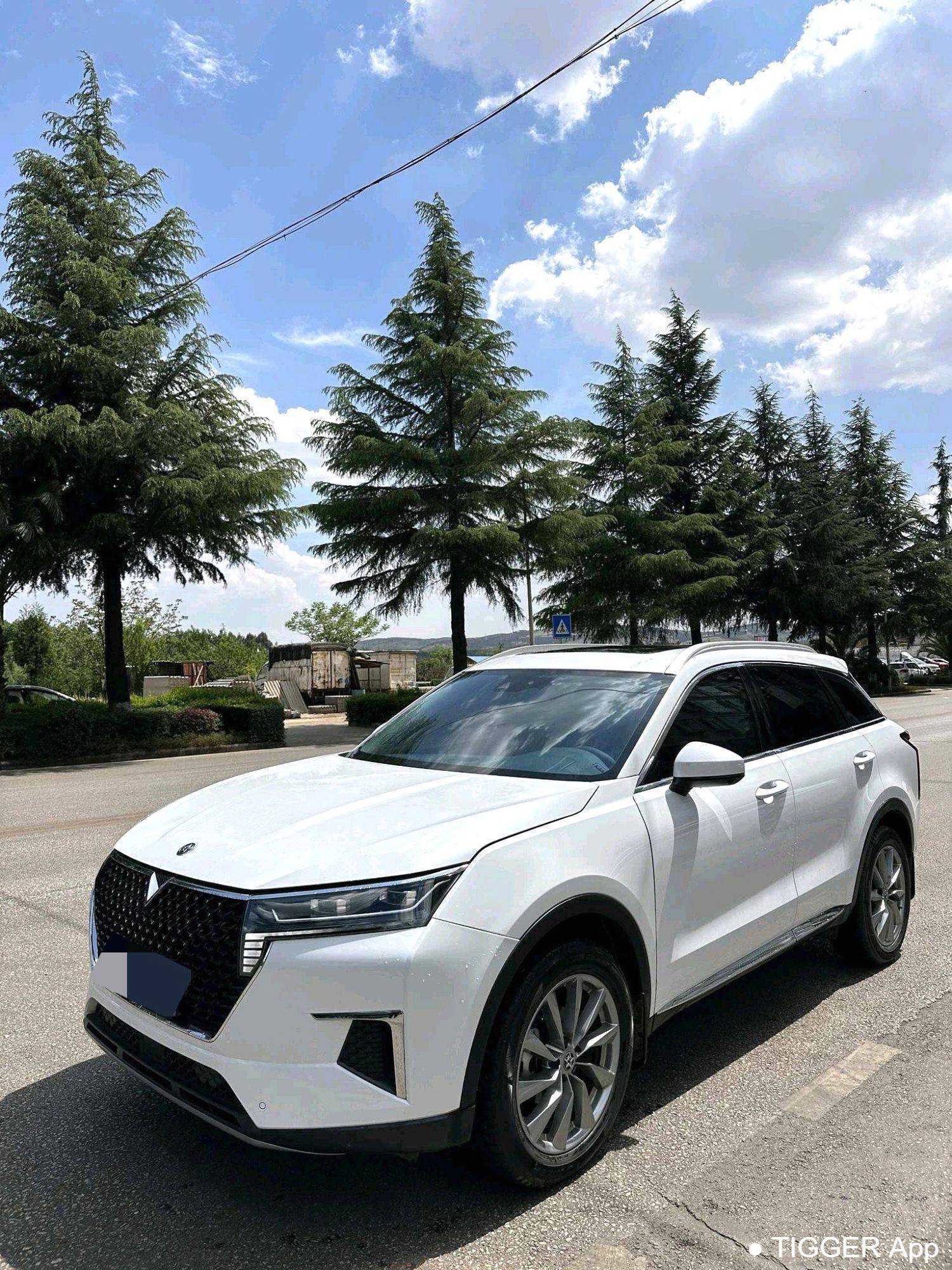 used Venucia‌ 2023 Venucia Star 260T Starry Edition Pro