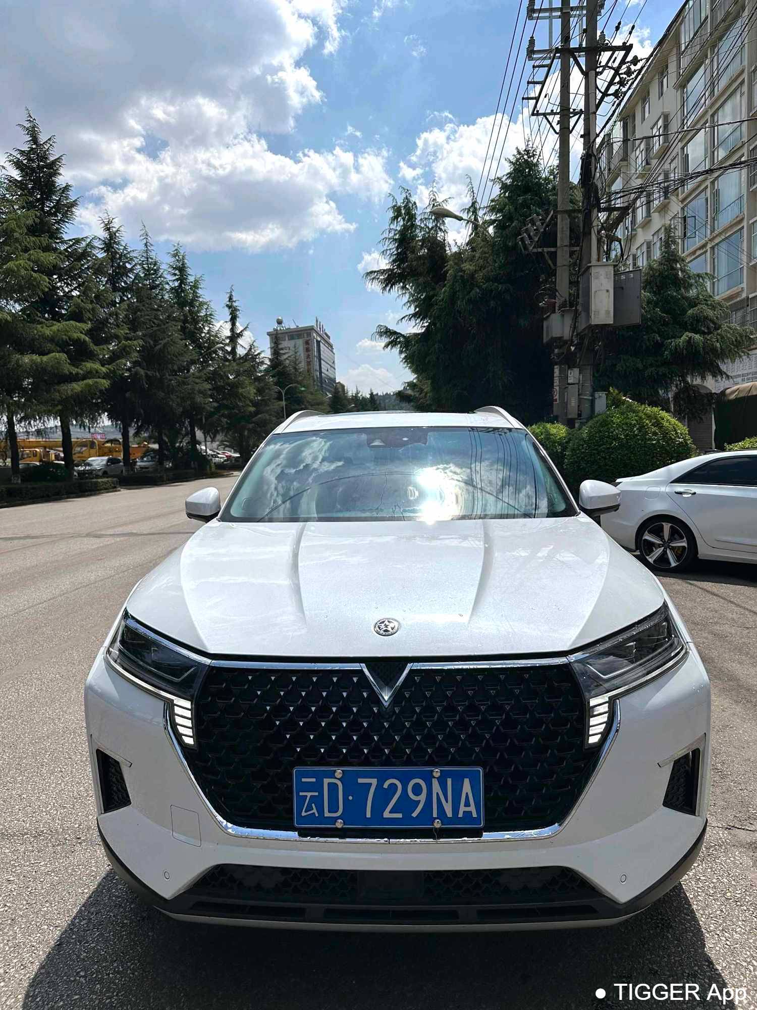 used Venucia‌ 2023 Venucia Star 260T Starry Edition Pro