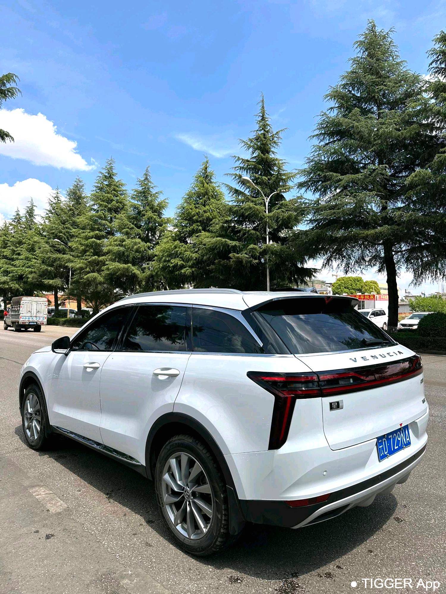 used Venucia‌ 2023 Venucia Star 260T Starry Edition Pro