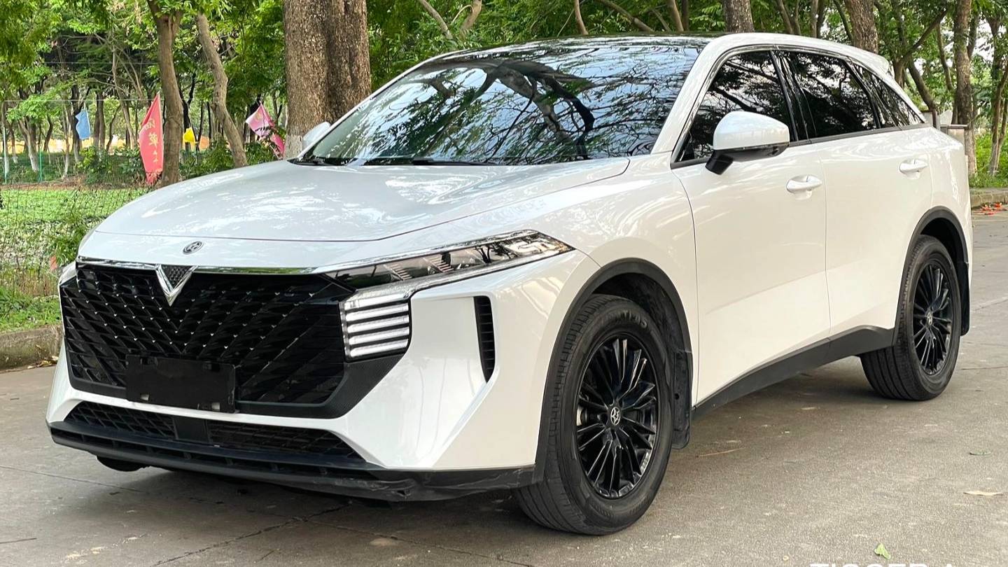 Venucia‌ 2023 Venucia V 260T idol version Pro