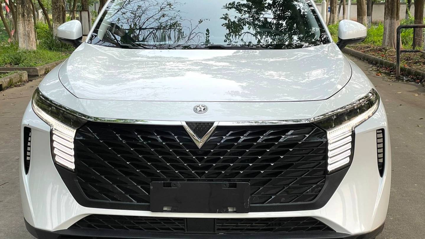 Venucia‌ 2023 Venucia V 260T idol version Pro