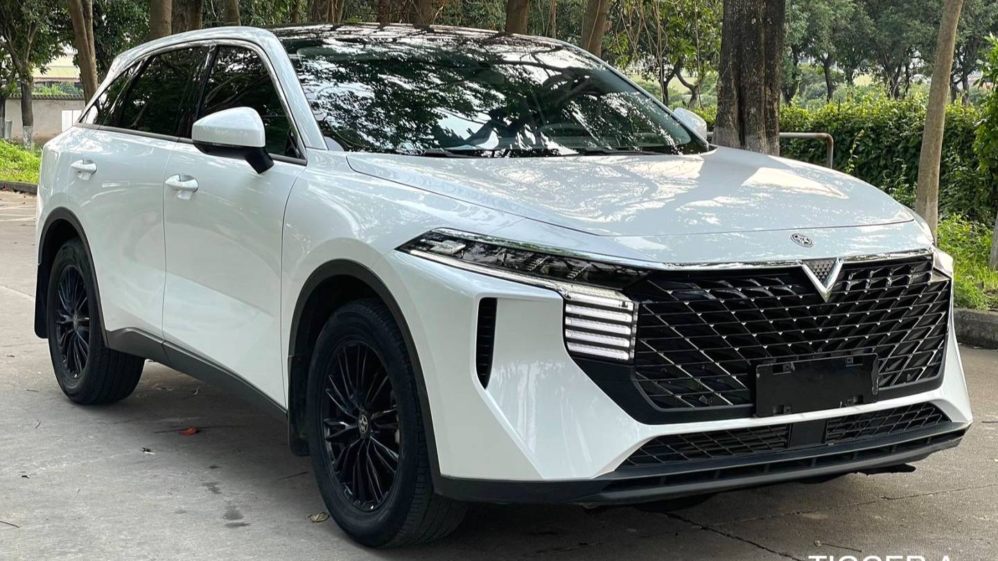 Venucia‌ 2023 Venucia V 260T idol version Pro