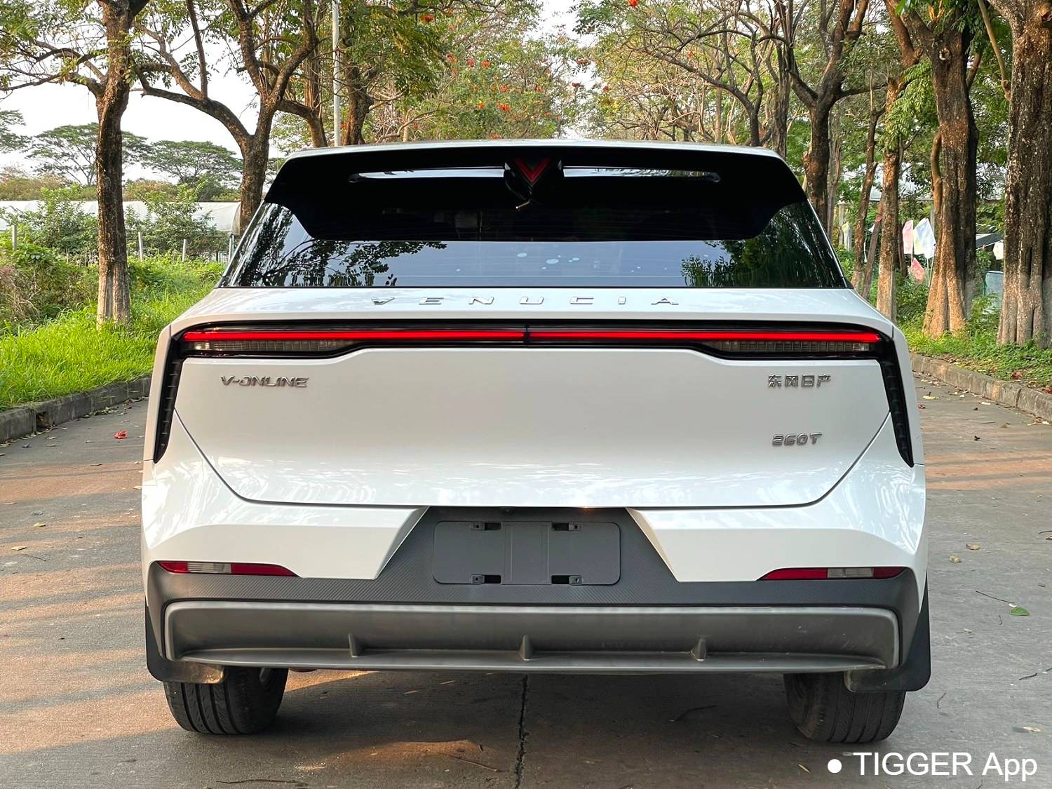 used Venucia‌ 2023 Venucia V 260T idol version Pro