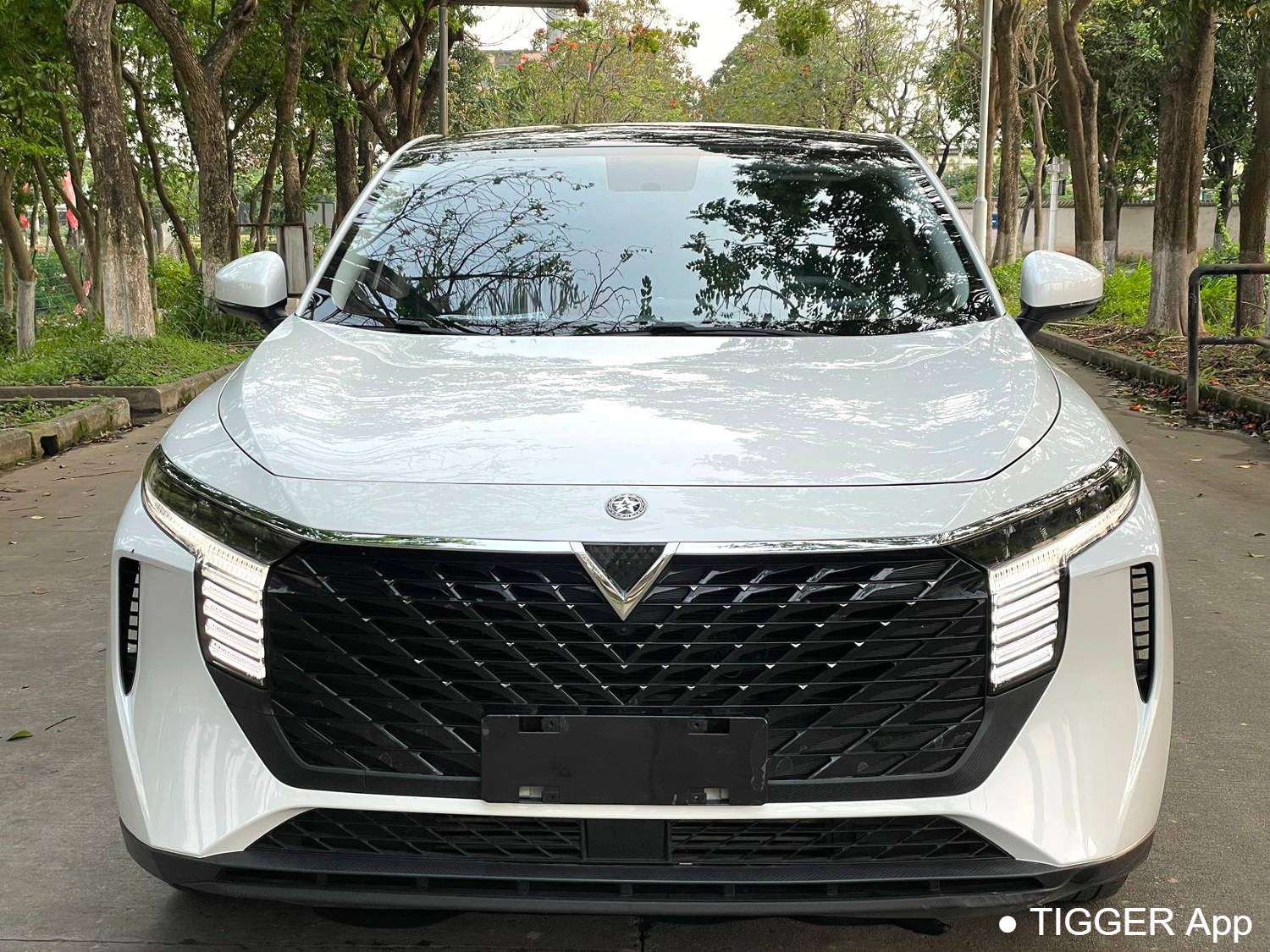 used Venucia‌ 2023 Venucia V 260T idol version Pro