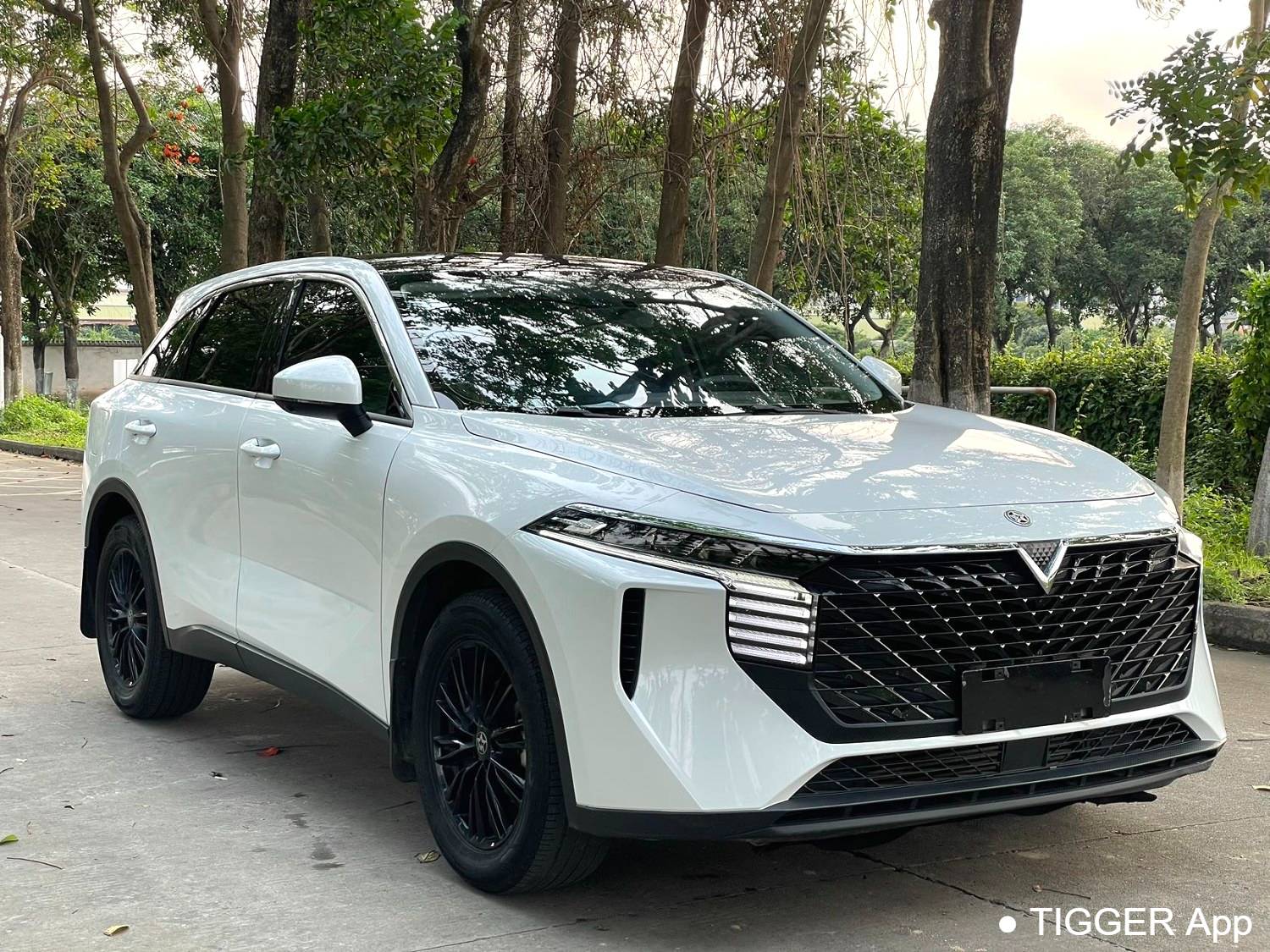 used Venucia‌ 2023 Venucia V 260T idol version Pro