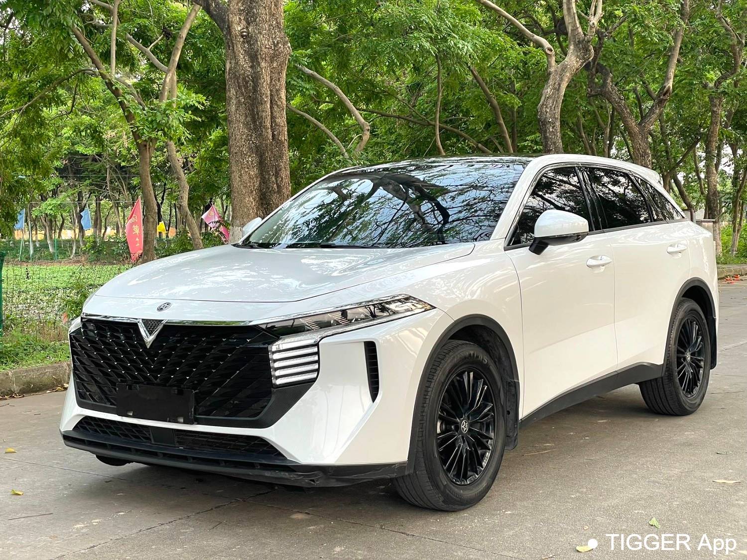 used Venucia‌ 2023 Venucia V 260T idol version Pro