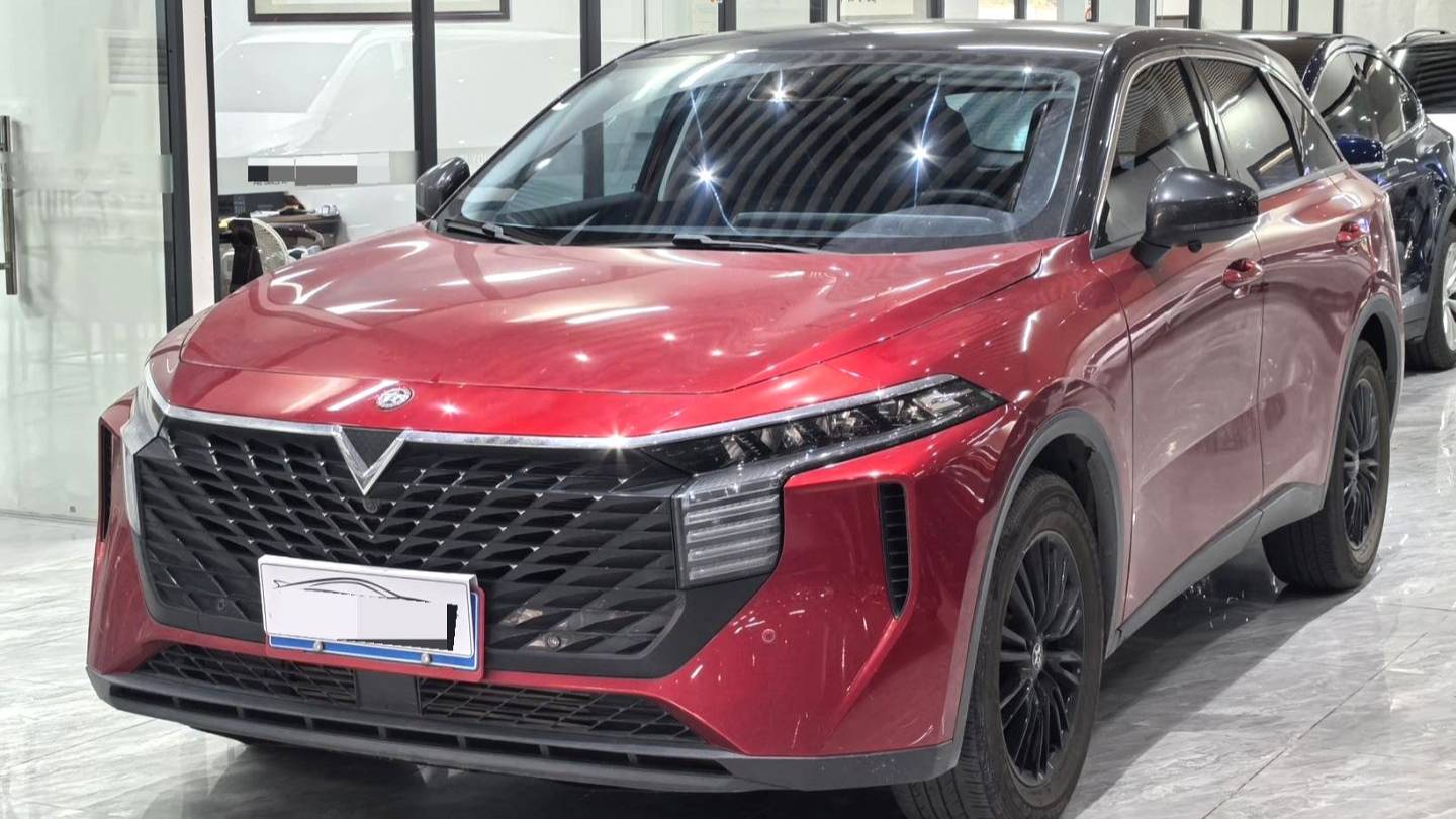 Venucia‌ 2022 Venucia V 260T Customized Edition · Love Bean