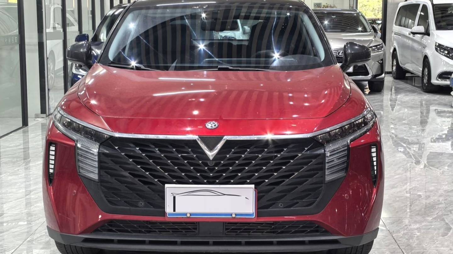 Venucia‌ 2022 Venucia V 260T Customized Edition · Love Bean