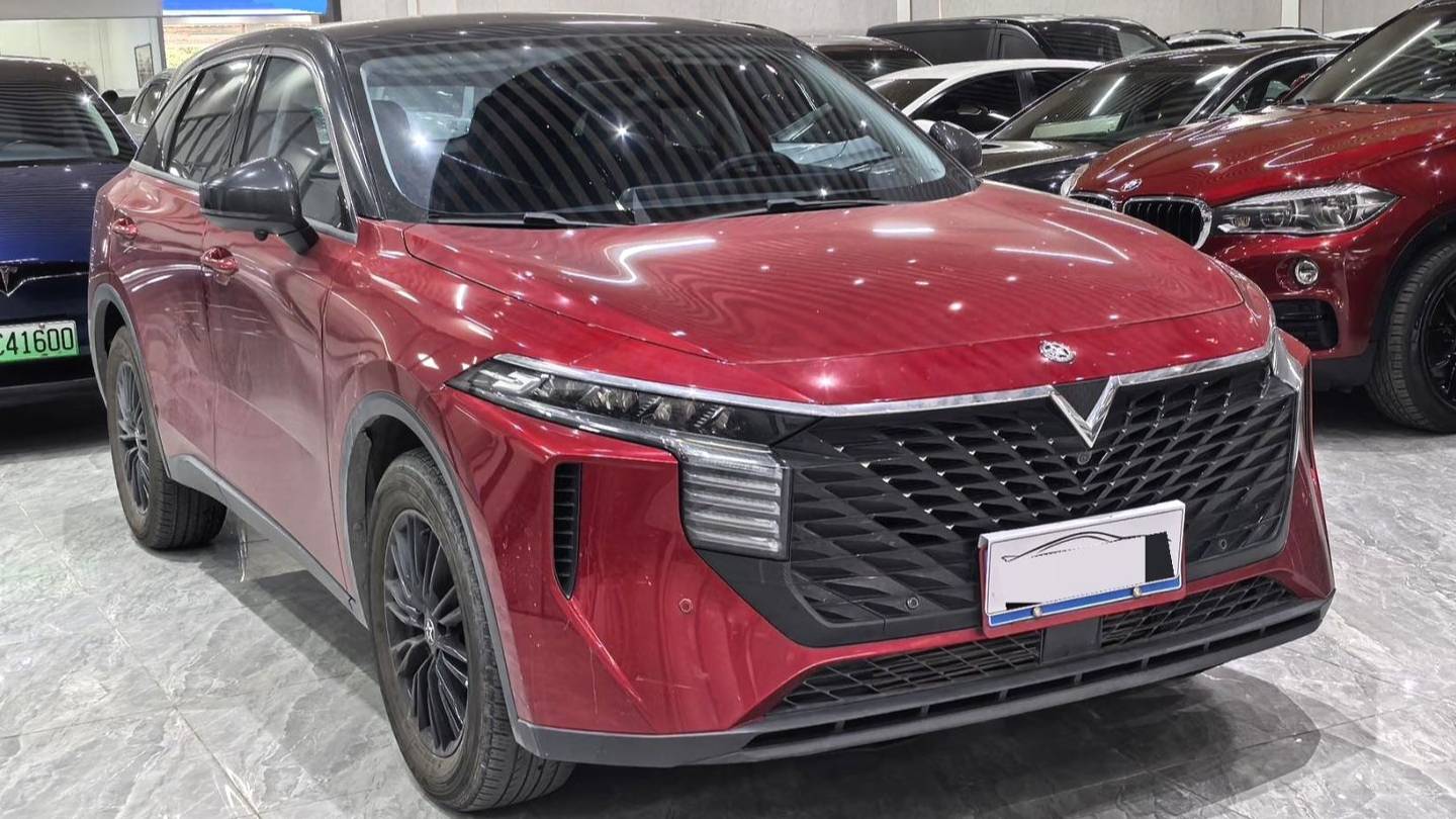 Venucia‌ 2022 Venucia V 260T Customized Edition · Love Bean