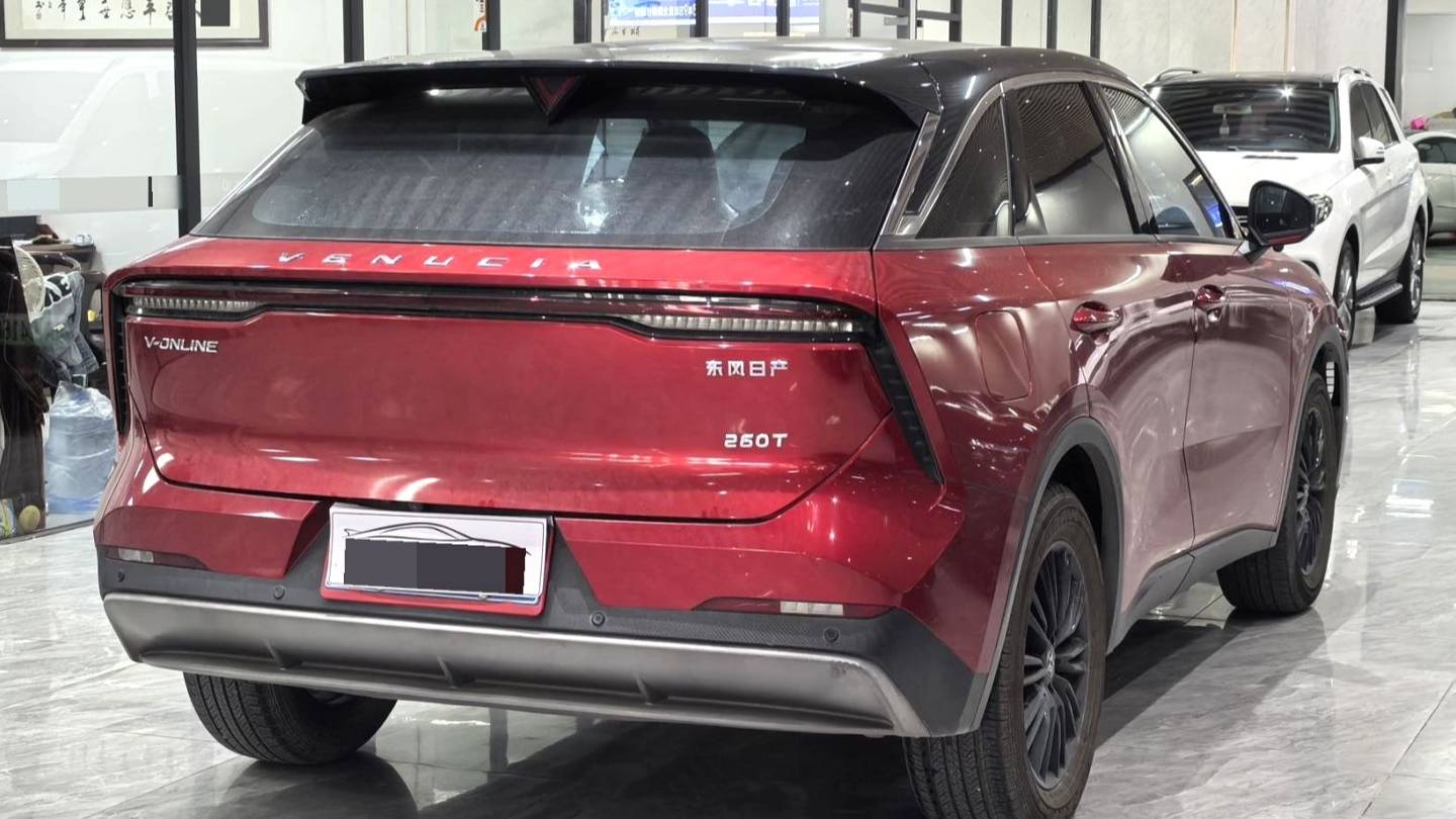 Venucia‌ 2022 Venucia V 260T Customized Edition · Love Bean