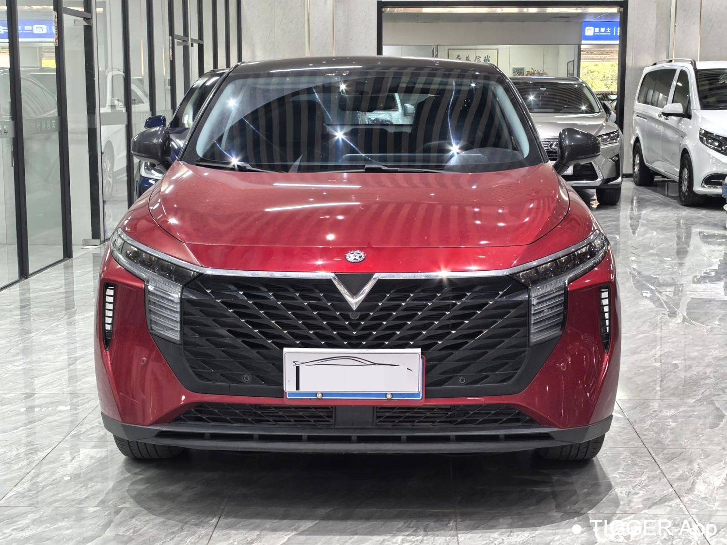 used Venucia‌ 2022 Venucia V 260T Customized Edition · Love Bean