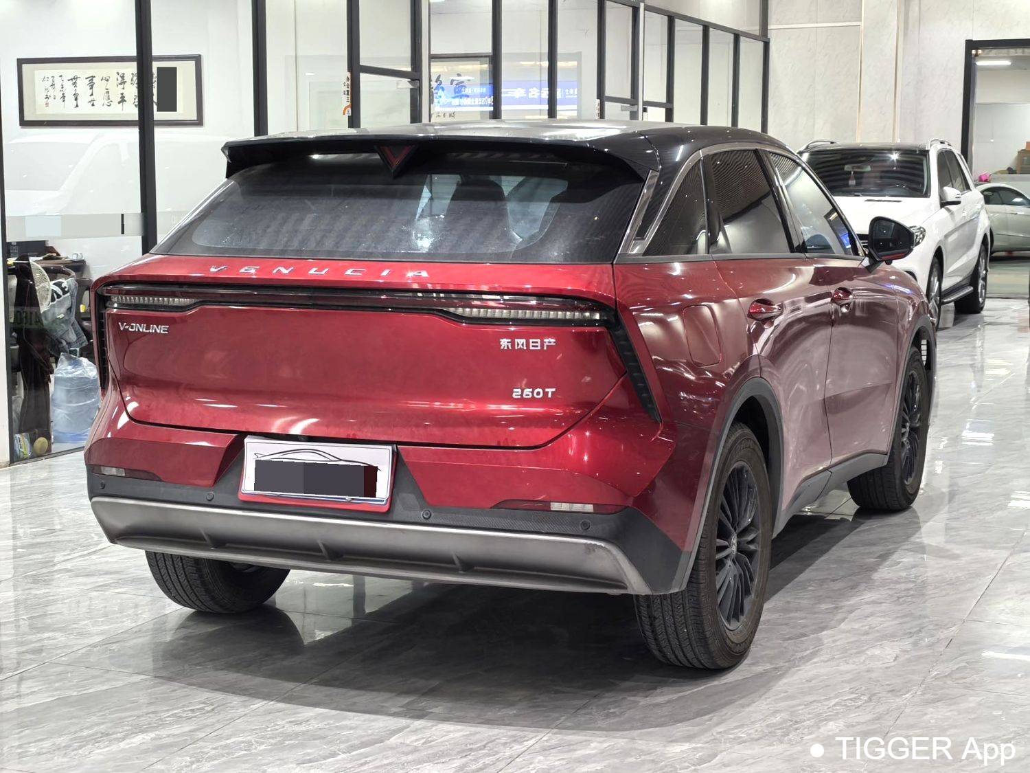 used Venucia‌ 2022 Venucia V 260T Customized Edition · Love Bean