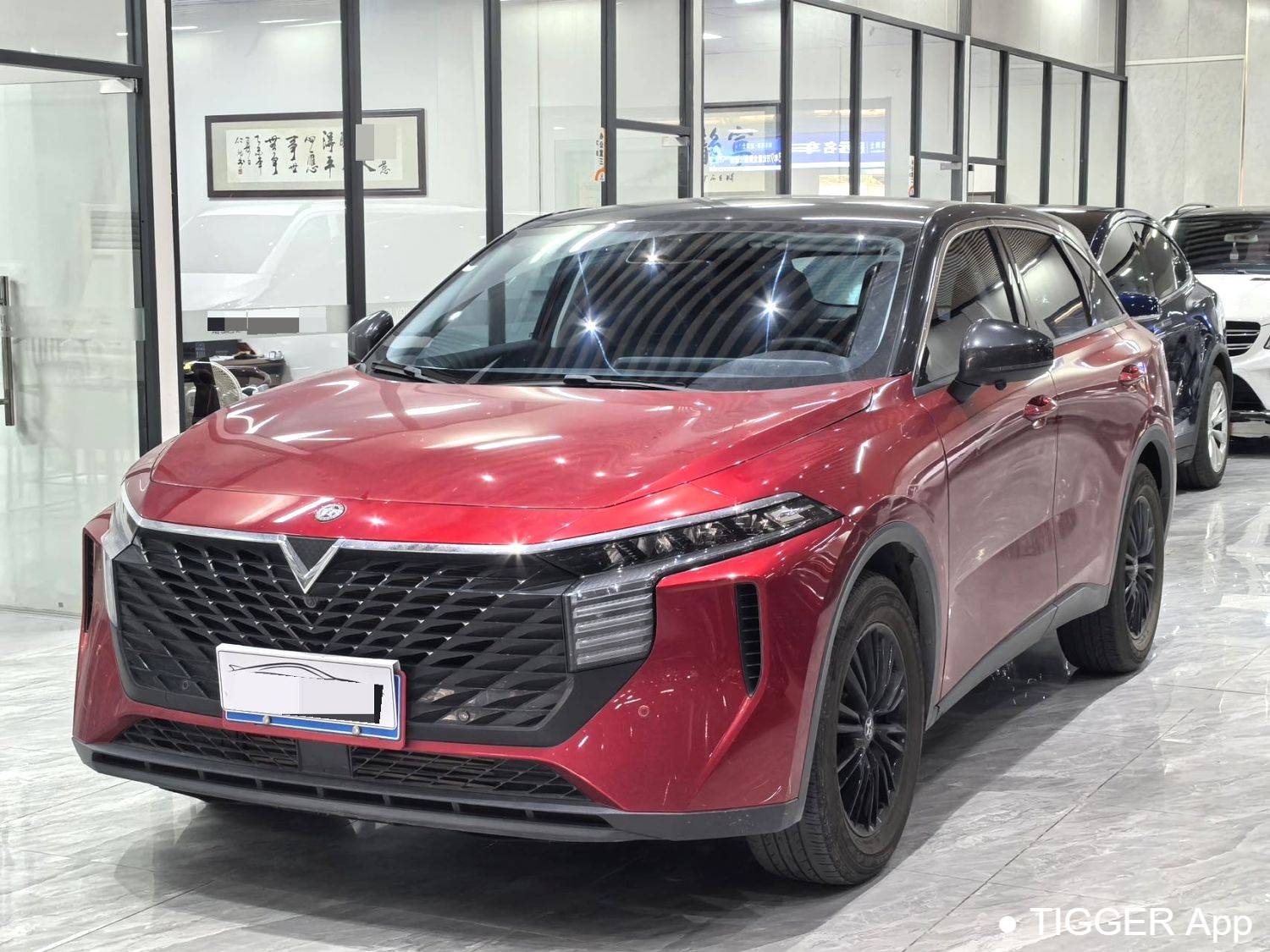 used Venucia‌ 2022 Venucia V 260T Customized Edition · Love Bean