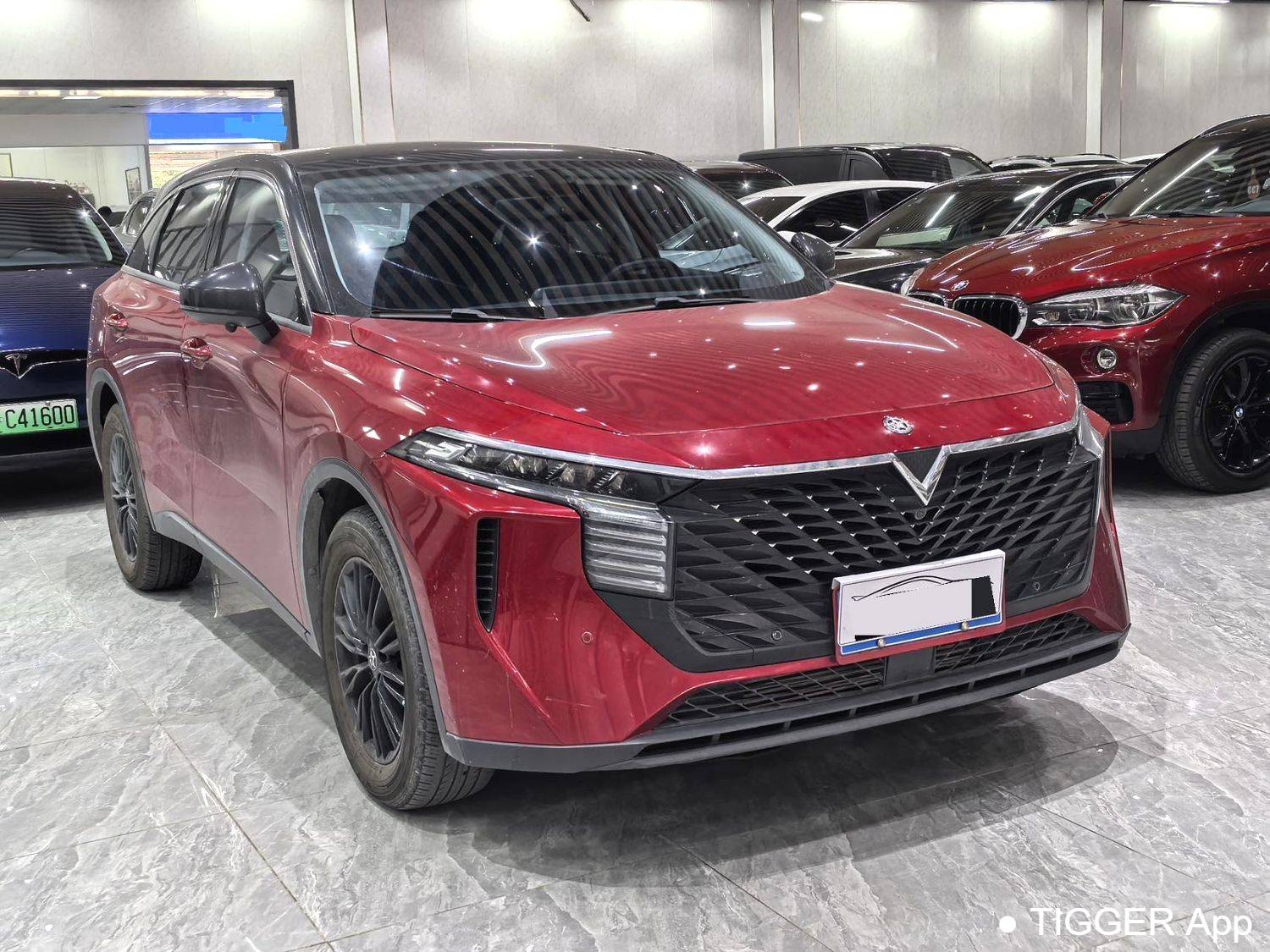 used Venucia‌ 2022 Venucia V 260T Customized Edition · Love Bean