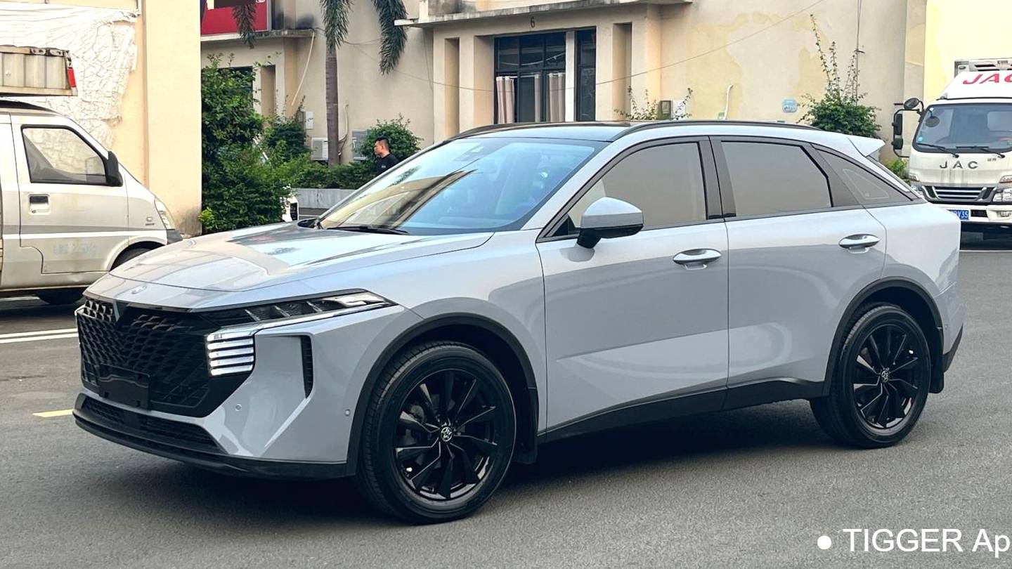 Venucia‌ 2022 Venucia V 260T Dark Horse Edition · Heavenly King