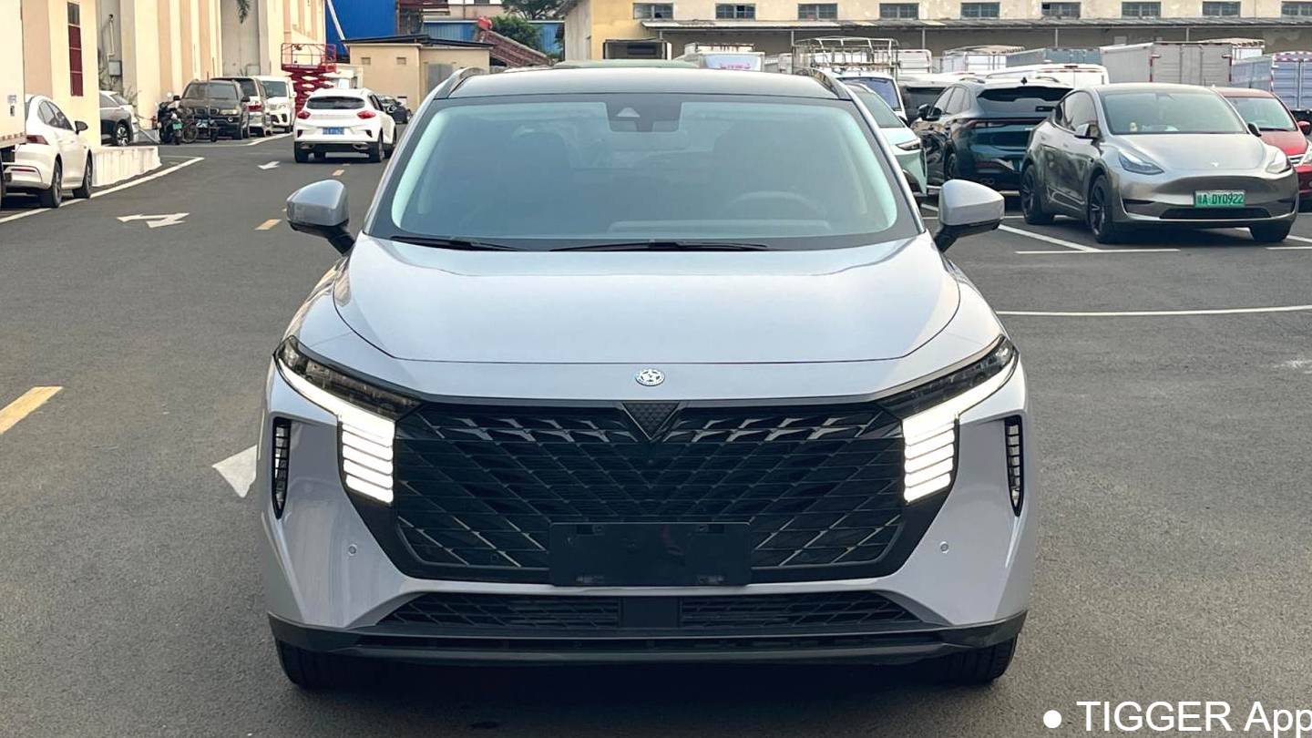 Venucia‌ 2022 Venucia V 260T Dark Horse Edition · Heavenly King