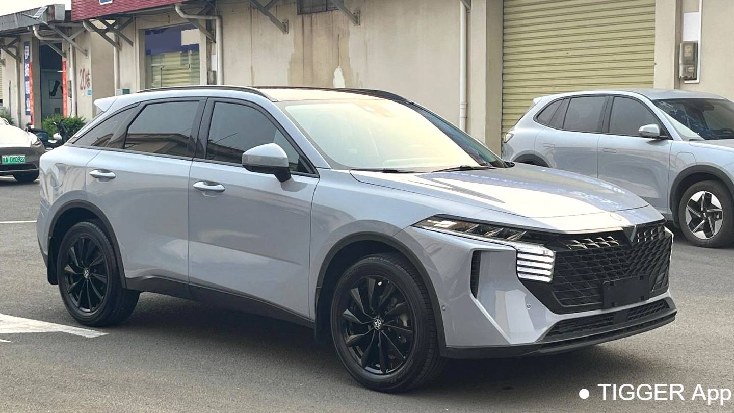 Venucia‌ 2022 Venucia V 260T Dark Horse Edition · Heavenly King