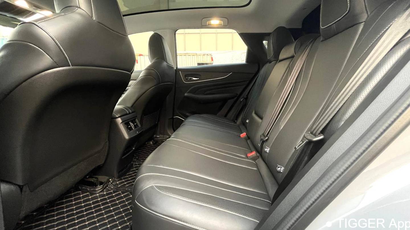 Venucia‌ 2022 Venucia V 260T Dark Horse Edition · Heavenly King