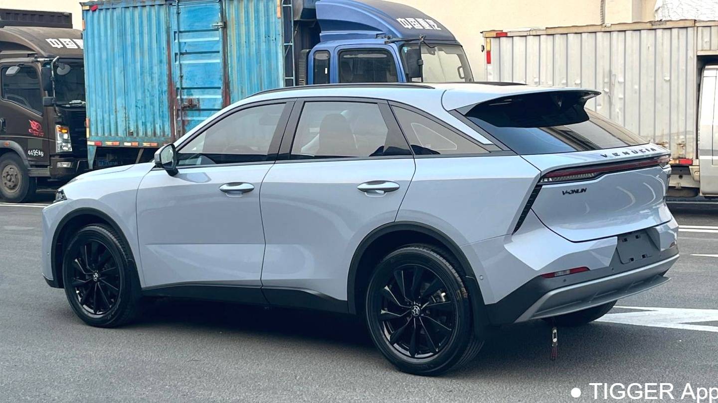 Venucia‌ 2022 Venucia V 260T Dark Horse Edition · Heavenly King