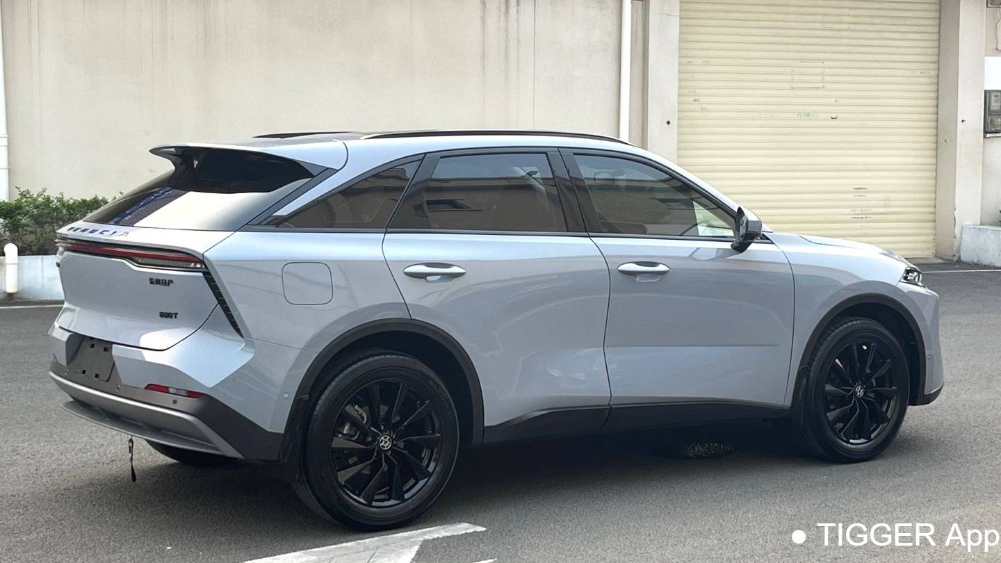 Venucia‌ 2022 Venucia V 260T Dark Horse Edition · Heavenly King