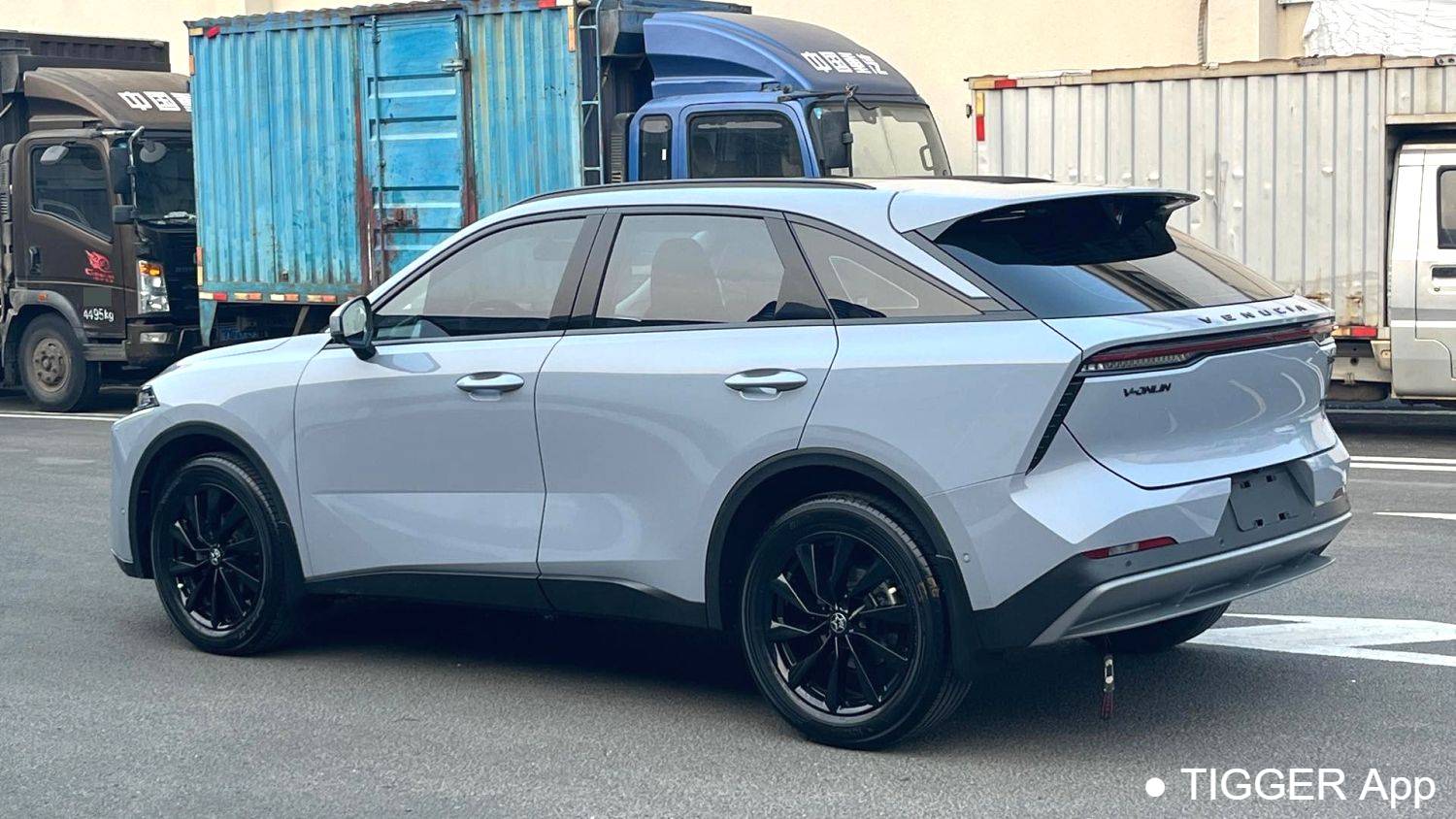 used Venucia‌ 2022 Venucia V 260T Dark Horse Edition · Heavenly King