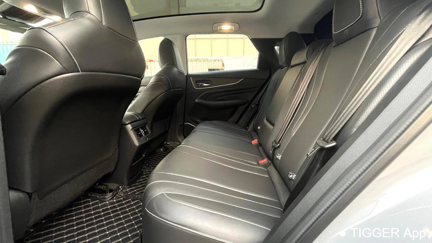 used Venucia‌ 2022 Venucia V 260T Dark Horse Edition · Heavenly King