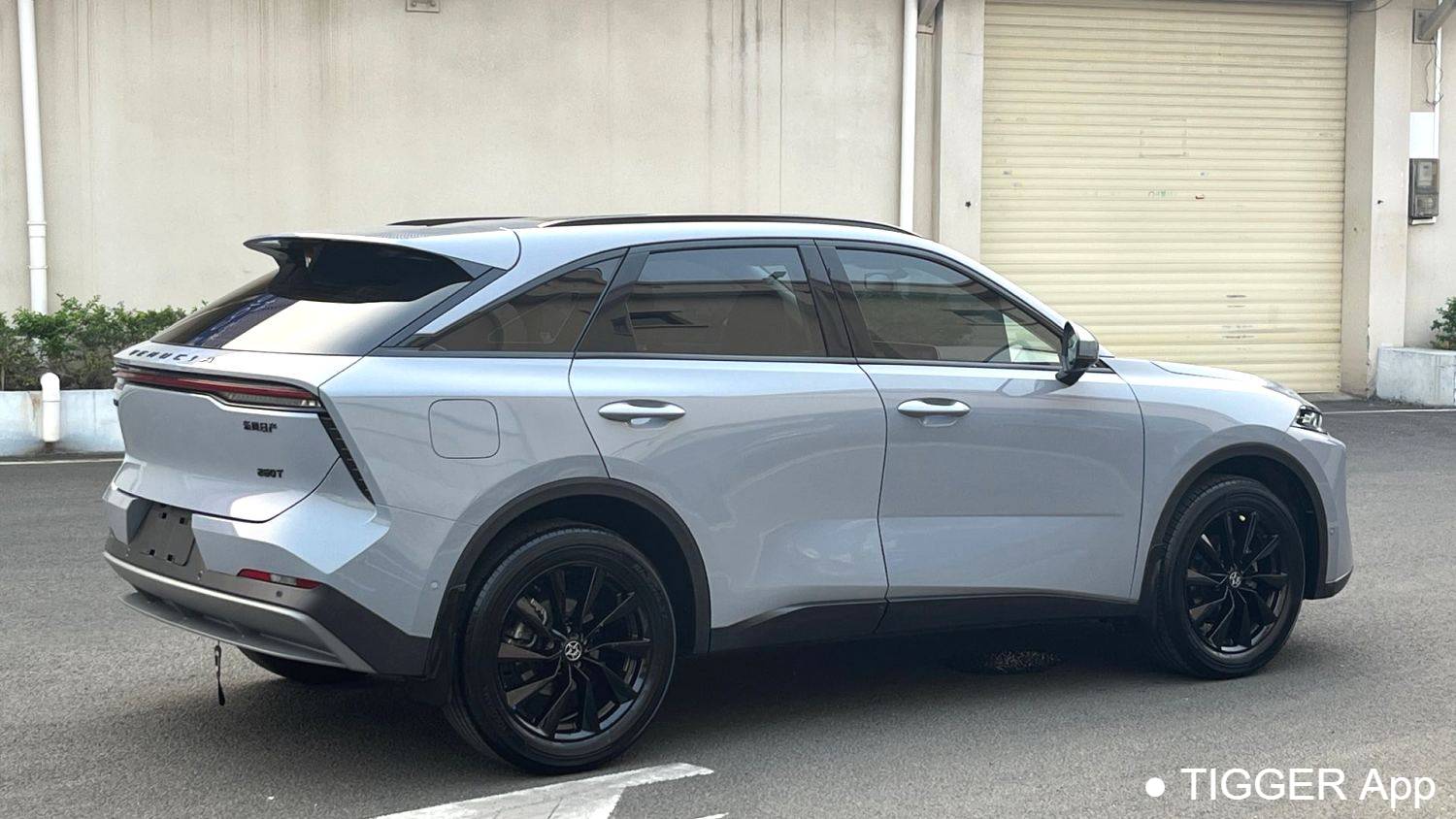 used Venucia‌ 2022 Venucia V 260T Dark Horse Edition · Heavenly King