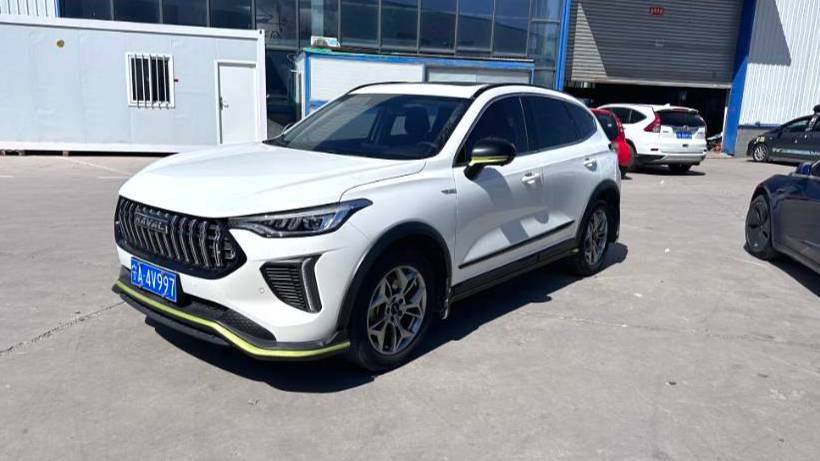 HAVAL 2022 Jolion Pro Jingxiang Edition 1.5T Purple Copper Rabbit