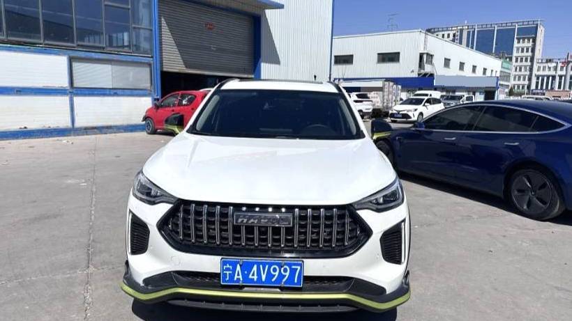 HAVAL 2022 Jolion Pro Jingxiang Edition 1.5T Purple Copper Rabbit