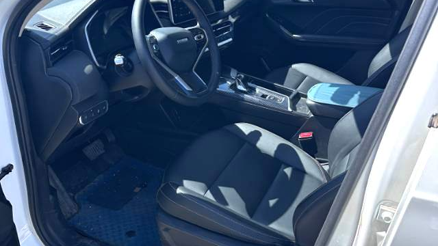 HAVAL 2022 Jolion Pro Jingxiang Edition 1.5T Purple Copper Rabbit