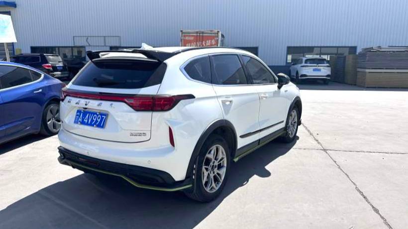 HAVAL 2022 Jolion Pro Jingxiang Edition 1.5T Purple Copper Rabbit