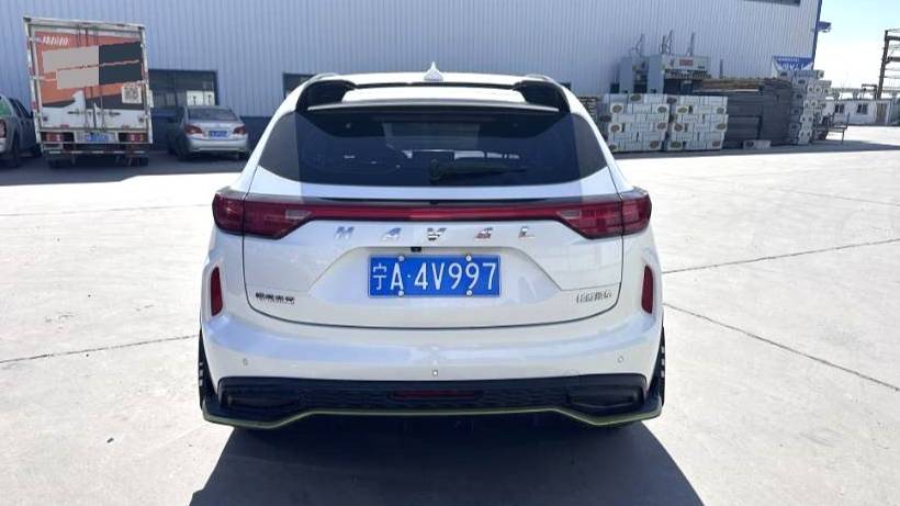 HAVAL 2022 Jolion Pro Jingxiang Edition 1.5T Purple Copper Rabbit