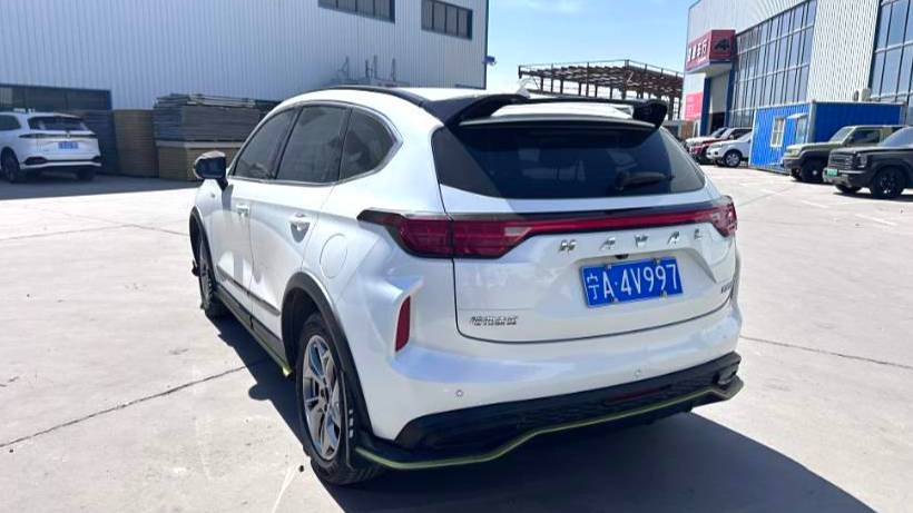 HAVAL 2022 Jolion Pro Jingxiang Edition 1.5T Purple Copper Rabbit