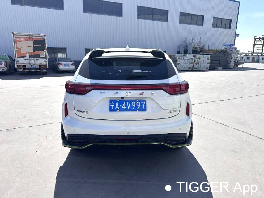 HAVAL 2022 Jolion Pro Jingxiang Edition 1.5T Purple Copper Rabbit