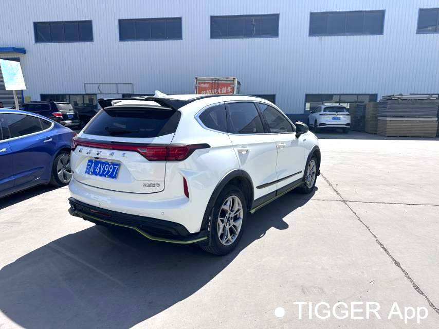 HAVAL 2022 Jolion Pro Jingxiang Edition 1.5T Purple Copper Rabbit